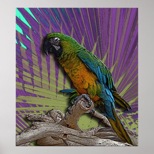 Poster Green Parrot (Devant)