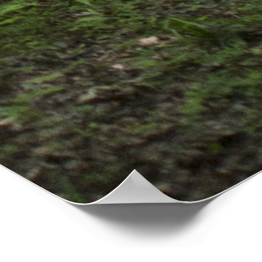 Poster Green Paths 13 (Coin)