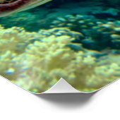 Poster Green Sea Turtle Swims the Red Sea (Coin)