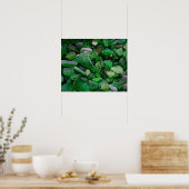 Poster Green Seaglass (Cuisine)