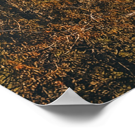 POSTER GREEN TREES AND GRASS FIELD (Coin)