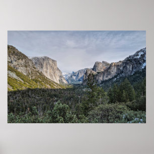 POSTER GREEN TREES NEAR MOUNTAIN UNDER CLOUDY SKY DURING 