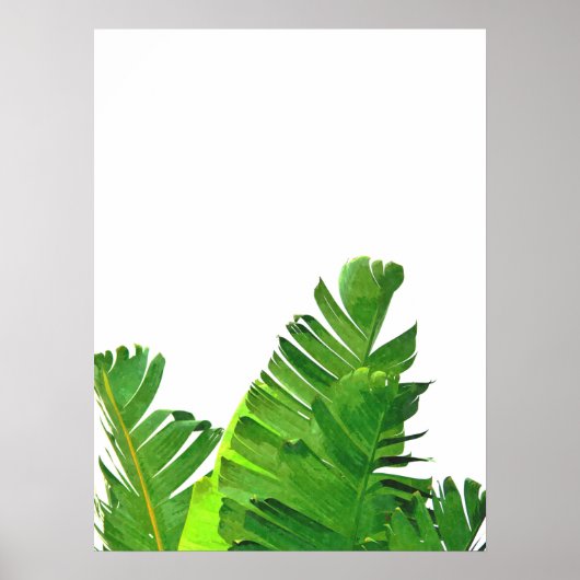 Poster Green Tropical Palm Banana Feuilles (Devant)