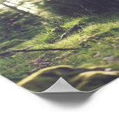 Poster Green Woods Photo avec citation Nature (Coin)