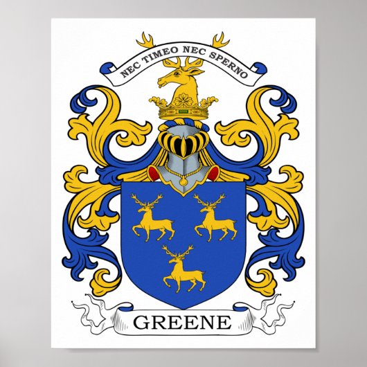 Poster Greene Custom (Devant)