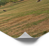 Poster Greenwich Park, Londres (Coin)