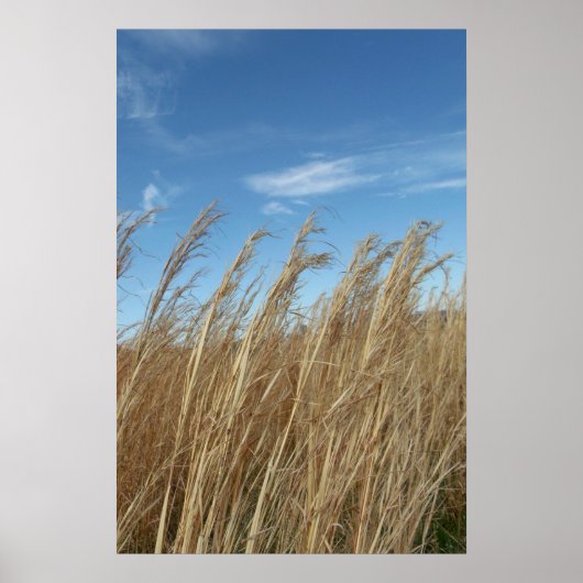 Poster Grêle (Devant)