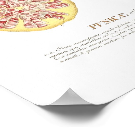 Poster Grenade (Coin)