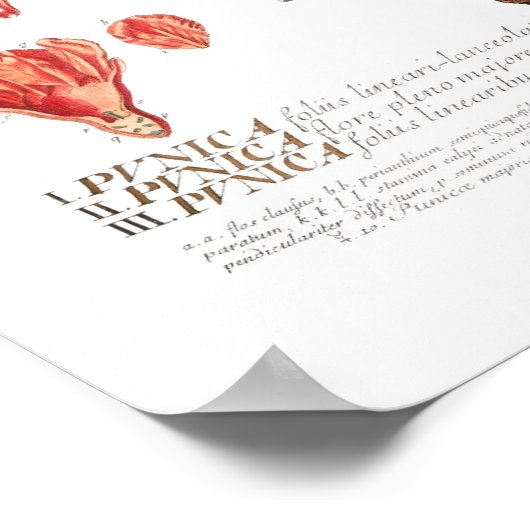 Poster Grenade (Coin)