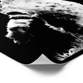 Poster Grenade à lancer de chat Drôle Kitty Grenade de ch (Coin)