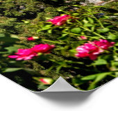 Poster Grenade, Andalousie, Espagne (Coin)