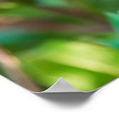 Poster Grenier (Coin)