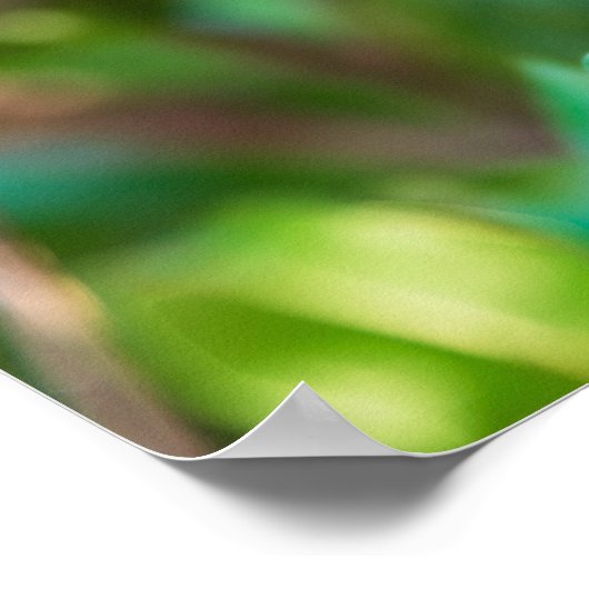 Poster Grenier (Coin)