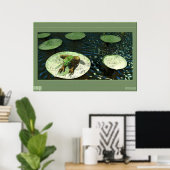 Poster Grenouille (Bureau à domicile)