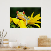 Poster grenouille (Cuisine)