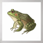 Poster Grenouille (Devant)