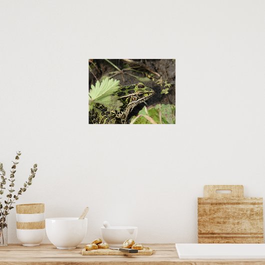 Poster Grenouille (Cuisine)