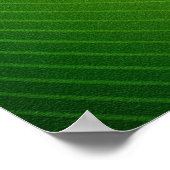 Poster Grenouille (Coin)