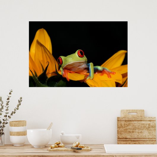 Poster grenouille (Cuisine)