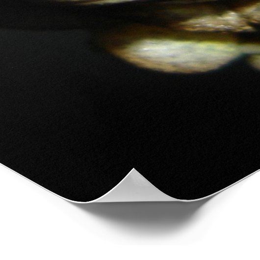 Poster Grenouille (Coin)