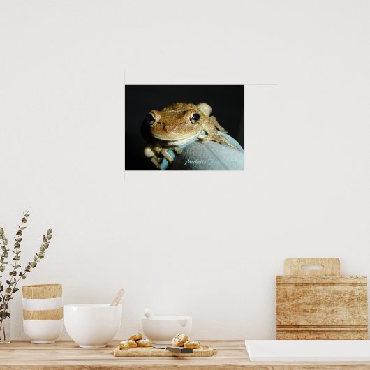 Poster Grenouille (Cuisine)