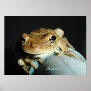 Poster Grenouille