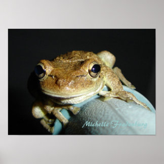 Poster Grenouille
