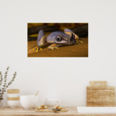 Poster Grenouille (Cuisine)