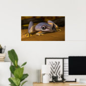 Poster Grenouille (Bureau à domicile)