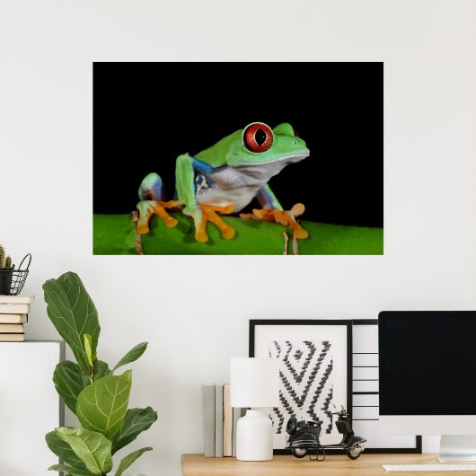 Poster grenouille (Bureau à domicile)