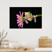 Poster grenouille (Cuisine)