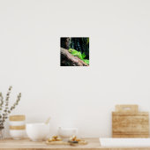 Poster Grenouille à arbre vert (Cuisine)