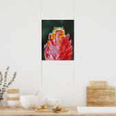 Poster Grenouille à feuilles rouges (Cuisine)