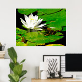 Poster Grenouille à l'eau Lily réflexion (Bureau à domicile)