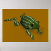Poster Grenouille à pastèque (Devant)
