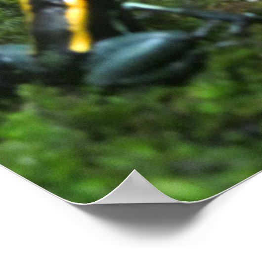 Poster Grenouille à tarte jaune (Coin)