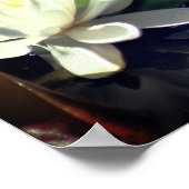 Poster Grenouille Admirant La Lily D'Eau (Coin)