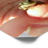 Poster Grenouille amicale sur un doigt (Coin)