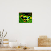 Poster Grenouille aux yeux rouges (Cuisine)