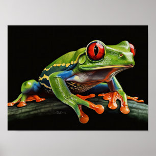 Poster Grenouille aux yeux rouges