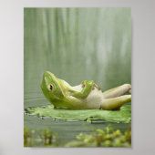 Poster Grenouille azy (Devant)