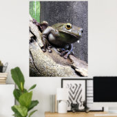Poster Grenouille blanche (Bureau à domicile)