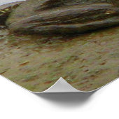 Poster Grenouille dans la boue (Coin)