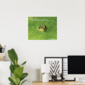 Poster Grenouille dans les algues vertes (Bureau à domicile)