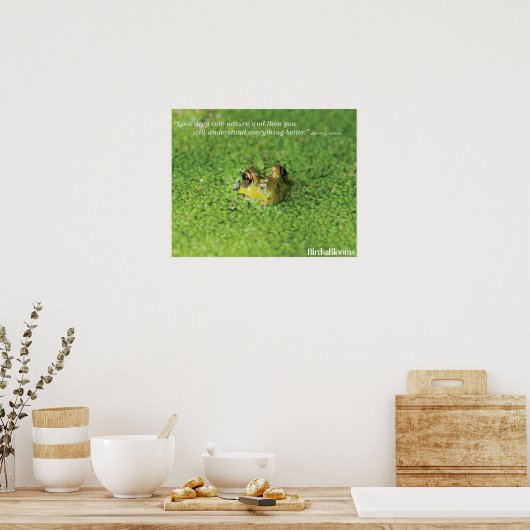 Poster Grenouille dans les algues vertes (Cuisine)