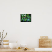 Poster Grenouille dans un étang feuillu (Cuisine)