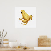 Poster Grenouille dendrobate (Cuisine)