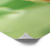 Poster Grenouille des arbres (Coin)