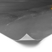 Poster Grenouille des arbres (Coin)