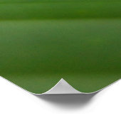 Poster Grenouille des arbres (Coin)